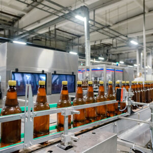 beer bottling conveyor in brewing factory, Beer bottles on conveyor belt