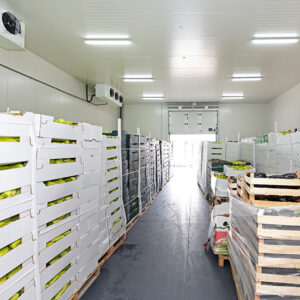 fresh food in boxes at cold storage pallets