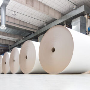 industrial paper supplier manufacturing rolls of paper